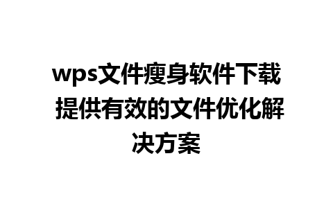 wps文件瘦身软件下载 提供有效的文件优化解决方案