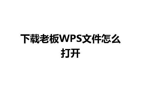 下载老板WPS文件怎么打开