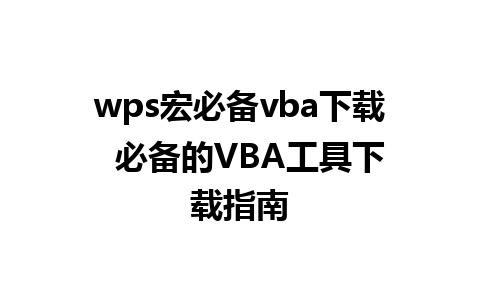 wps宏必备vba下载  必备的VBA工具下载指南