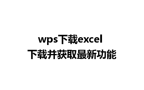 wps下载excel 下载并获取最新功能