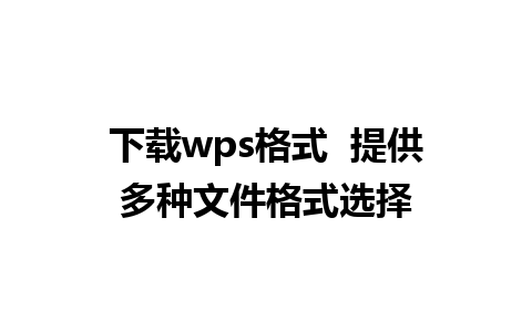 下载wps格式  提供多种文件格式选择