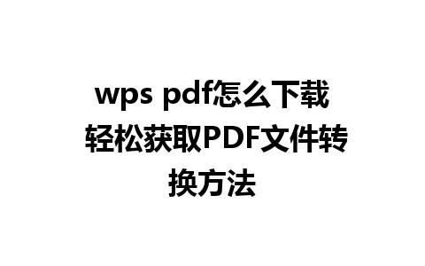 wps pdf怎么下载 轻松获取PDF文件转换方法