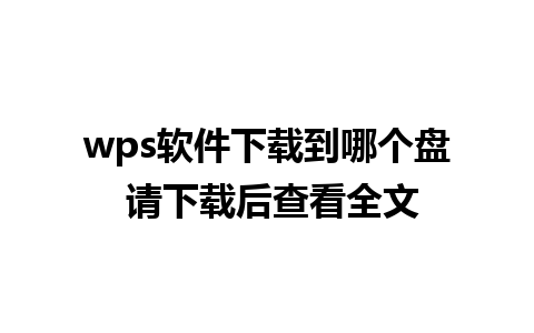 wps软件下载到哪个盘 请下载后查看全文