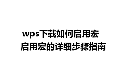 wps下载如何启用宏  启用宏的详细步骤指南