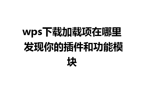 wps下载加载项在哪里 发现你的插件和功能模块