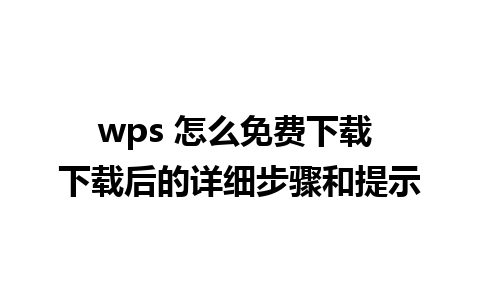 wps 怎么免费下载 下载后的详细步骤和提示