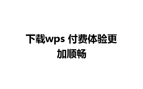 下载wps 付费体验更加顺畅