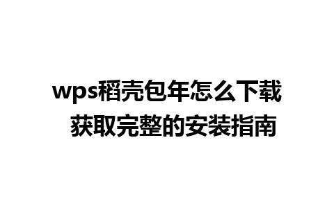 wps稻壳包年怎么下载  获取完整的安装指南