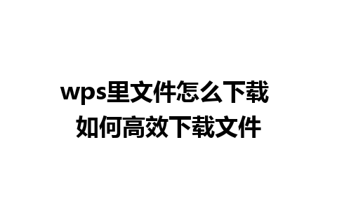 wps里文件怎么下载 如何高效下载文件