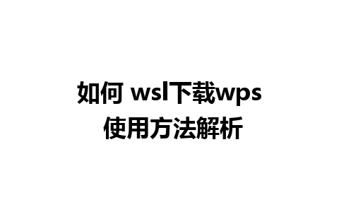 如何 wsl下载wps 使用方法解析