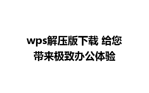 wps解压版下载 给您带来极致办公体验