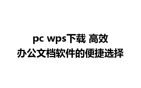 pc wps下载 高效办公文档软件的便捷选择