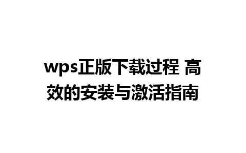 wps正版下载过程 高效的安装与激活指南