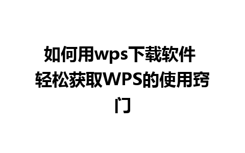 如何用wps下载软件 轻松获取WPS的使用窍门