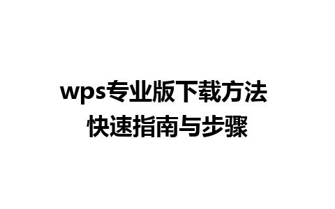 wps专业版下载方法 快速指南与步骤