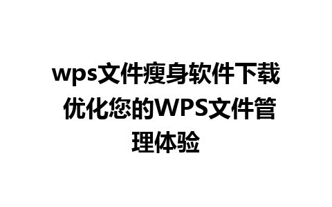 wps文件瘦身软件下载 优化您的WPS文件管理体验