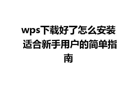 wps下载好了怎么安装 适合新手用户的简单指南