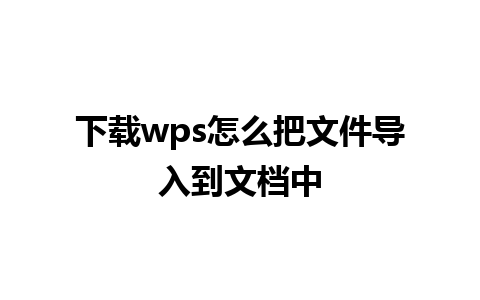 下载wps怎么把文件导入到文档中