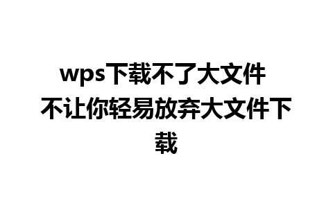 wps下载不了大文件 不让你轻易放弃大文件下载