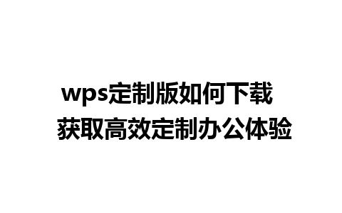 wps定制版如何下载  获取高效定制办公体验