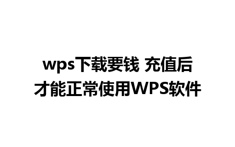 wps下载要钱 充值后才能正常使用WPS软件