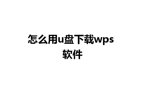 怎么用u盘下载wps 软件