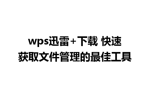 wps迅雷+下载 快速获取文件管理的最佳工具