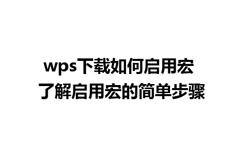 wps下载如何启用宏 了解启用宏的简单步骤