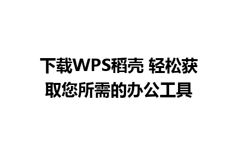 下载WPS稻壳 轻松获取您所需的办公工具