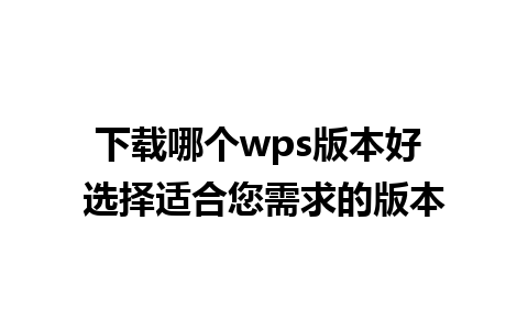 下载哪个wps版本好 选择适合您需求的版本