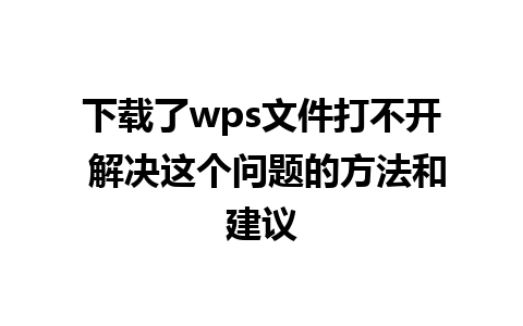 下载了wps文件打不开 解决这个问题的方法和建议