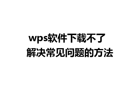 wps软件下载不了  解决常见问题的方法