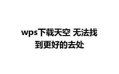 wps下载天空 无法找到更好的去处