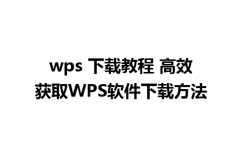 wps 下载教程 高效获取WPS软件下载方法