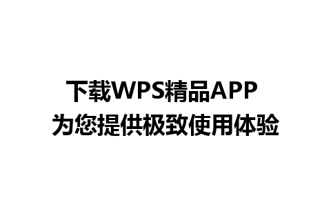 下载WPS精品APP 为您提供极致使用体验