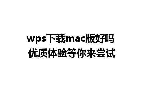 wps下载mac版好吗 优质体验等你来尝试