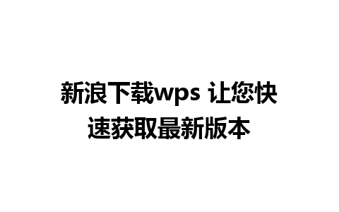 新浪下载wps 让您快速获取最新版本