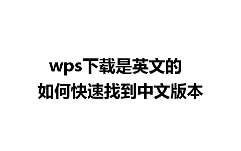 wps下载是英文的  如何快速找到中文版本