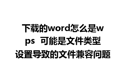 下载的word怎么是wps  可能是文件类型设置导致的文件兼容问题