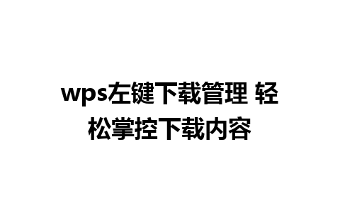 wps左键下载管理 轻松掌控下载内容