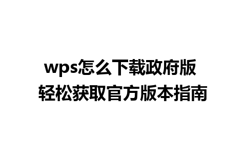 wps怎么下载政府版 轻松获取官方版本指南