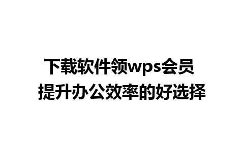 下载软件领wps会员 提升办公效率的好选择