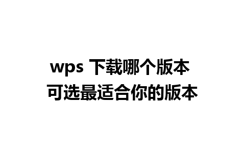 wps 下载哪个版本 可选最适合你的版本