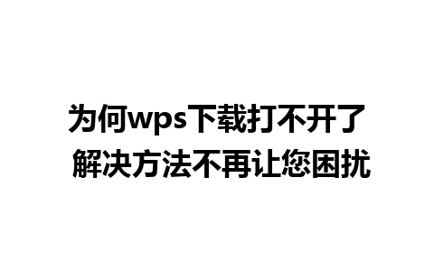 为何wps下载打不开了 解决方法不再让您困扰