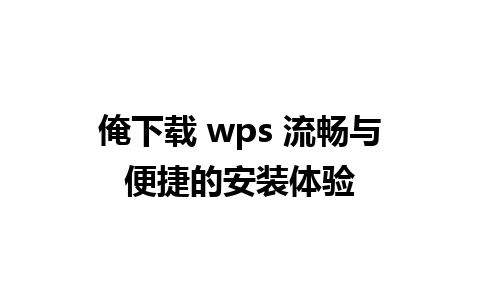 俺下载 wps 流畅与便捷的安装体验