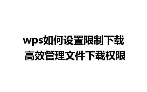 wps如何设置限制下载 高效管理文件下载权限