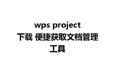 wps project下载 便捷获取文档管理工具