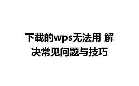 下载的wps无法用 解决常见问题与技巧