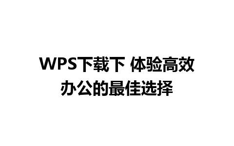 WPS下载下 体验高效办公的最佳选择