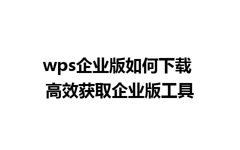 wps企业版如何下载 高效获取企业版工具